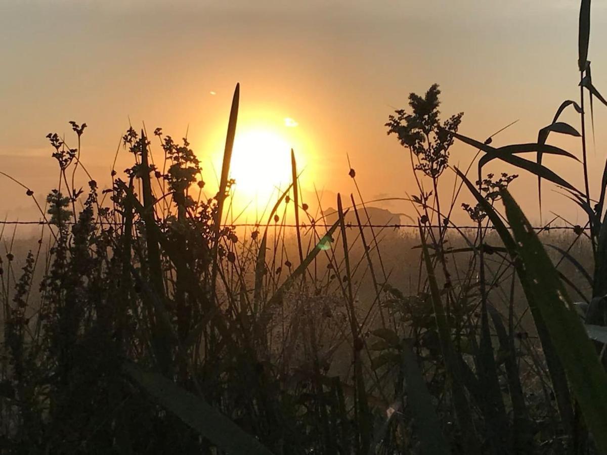 Zomerdijk-Inn Zuid Wanneperveen Dış mekan fotoğraf