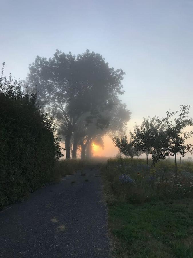 Zomerdijk-Inn Zuid Wanneperveen Dış mekan fotoğraf